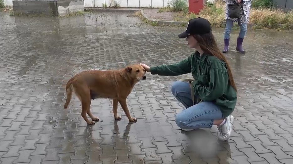 戦禍のウクライナで小さな命を救う人々を追うドキュメンタリー『犬と戦争　ウクライナで私が見たこと』公開　ナレーションは東出昌大