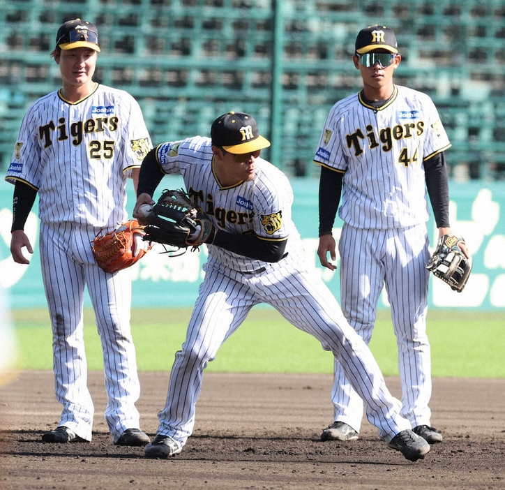 阪神・戸井（右）や渡辺（左）らとともにノックを受ける佐藤輝（撮影・大森　寛明）