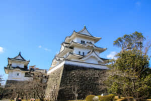 上野城（現・伊賀上野城）は、天正13年（1585）に筒井定次が平楽寺・薬師寺のあった台地に建築。当時の天守は定次の改易後倒壊し、昭和初期に建てられた現在の復興天守は伊賀のランドマークとして親しまれている。