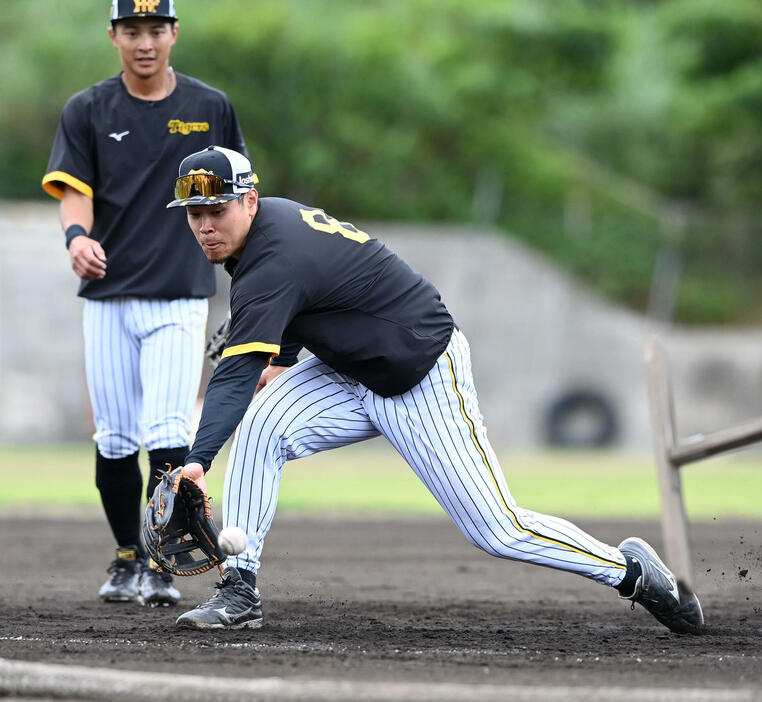 2月、特守で打球を追う阪神佐藤輝