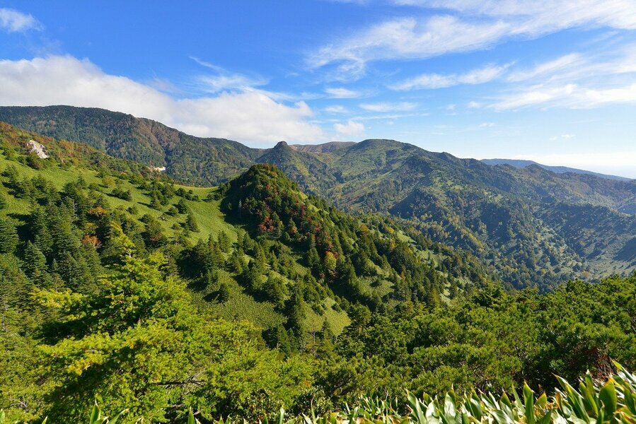 広大な志賀高原は見渡す限りの絶景が広がる