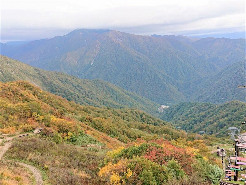 展望台からは紅葉にそまる360度の大パノラマ