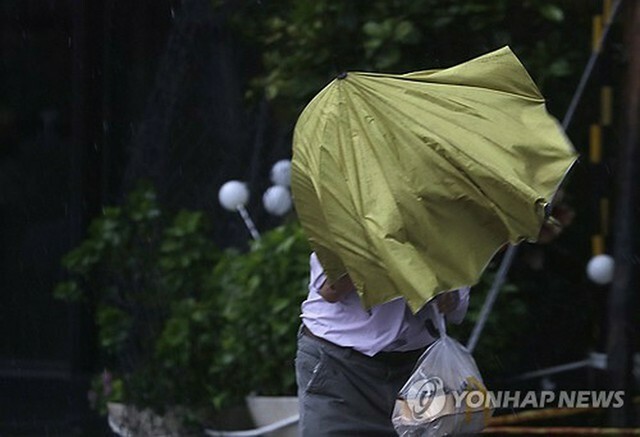 台風21号の影響で強風の吹く台湾の台北の様子＝（AP＝聯合ニュース）≪転載・転用禁止≫