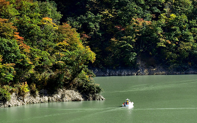 来場者を乗せて運航する湖面巡視船。周囲では紅葉が進んでいた＝長井市・長井ダム湖