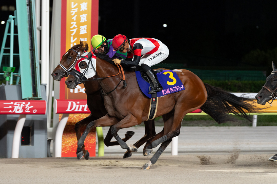 レディスプレリュード・グランブリッジと川田将雅騎手 (C)東京シティ競馬