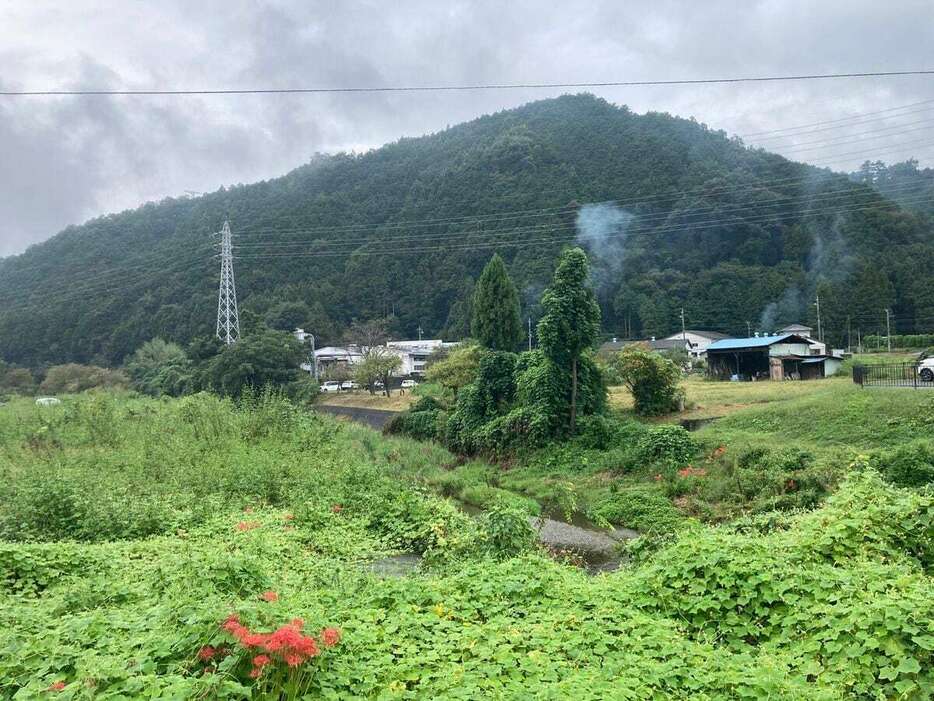 埼玉県東秩父村役場付近の様子（半田泰撮影）