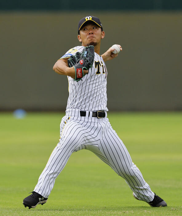 キャッチボールをする阪神伊藤将（撮影・藤尾明華）