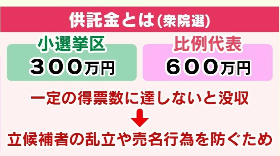 衆院選の仕組み