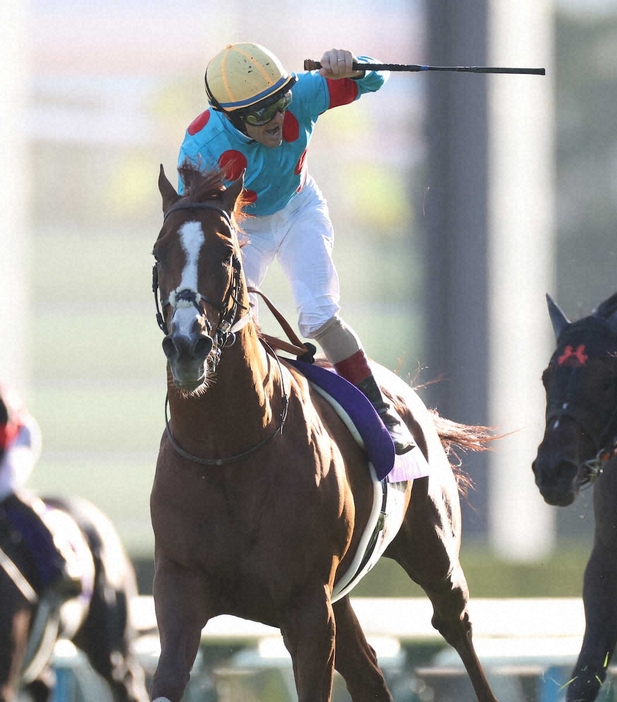 ＜京都11R・菊花賞＞菊花賞を制したアーバンシックと馬上でガッツポーズのルメール騎手（撮影・亀井　直樹）