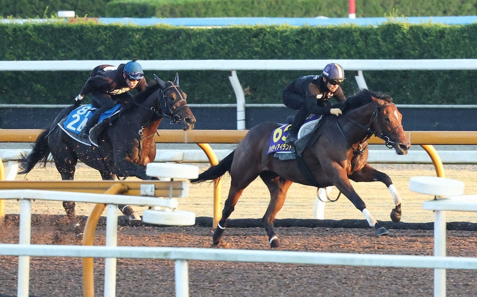 川田将雅を背にCウッドをロードプレジール（左）と併せ馬で追い切るリバティアイランド