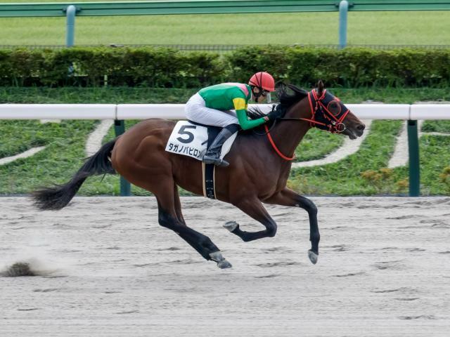 坂井瑠星騎手騎乗のタガノバビロンが勝利(撮影：下野雄規)