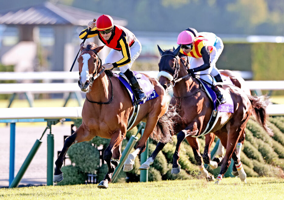 ３着に終わったステレンボッシュ（右）