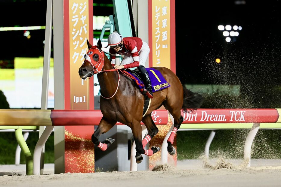 JDC・フォーエバーヤングと坂井瑠星騎手 (C)Hiroki Homma