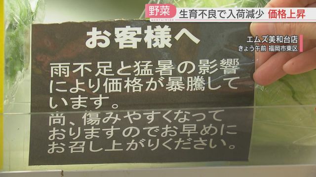 雨不足と猛暑で高値に