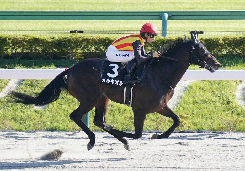 ＜東京9Rプラタナス賞＞レースを制したメルキオル（撮影・村上　大輔）