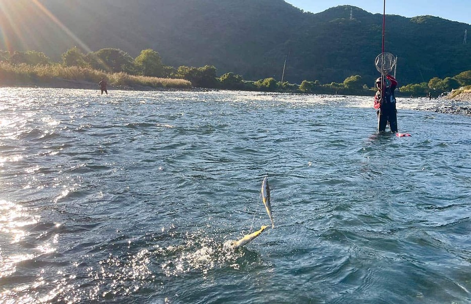 見るものすべてが新鮮だった、初場所となる根尾川