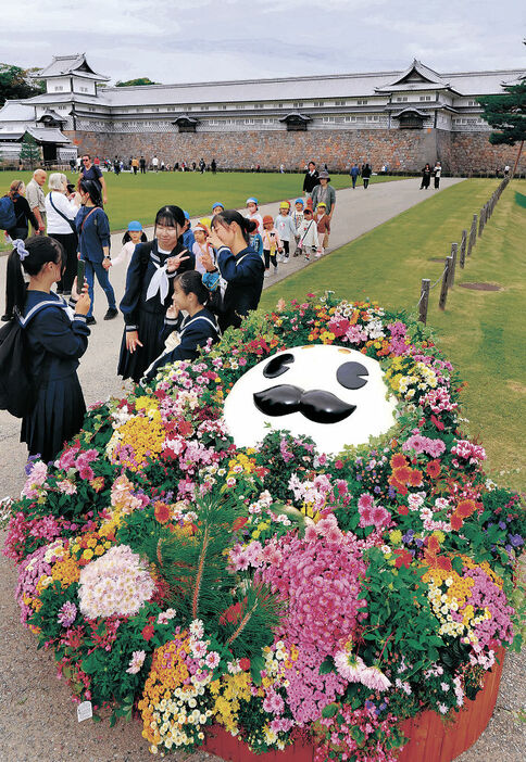 「ひゃくまんさん」をかたどった彩り豊かな花壇＝２２日午前１０時半、金沢城公園三の丸広場