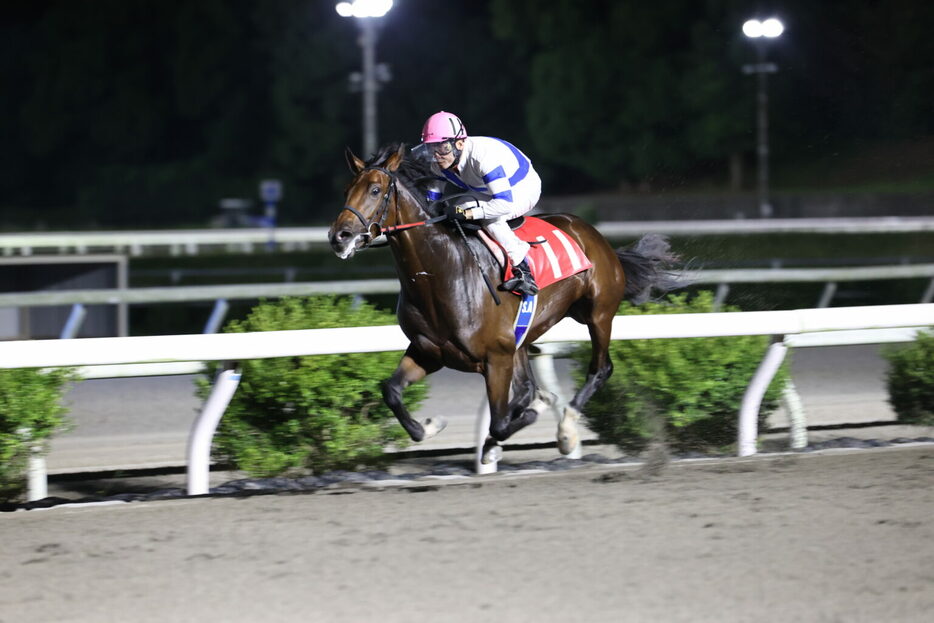 潮菊特別・リケアカプチーノと赤岡修次騎手 (C)高知県競馬組合