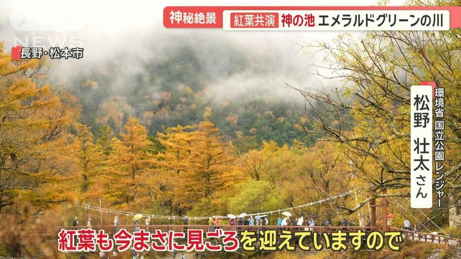 “神秘の紅葉”路上駐車に観光バスが大行列　外国人観光客も増加　長野県「上高地」