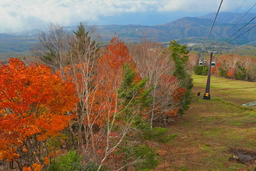 ハンターマウンテン塩原で紅葉を楽しむ空中散歩（撮影：松井英子）