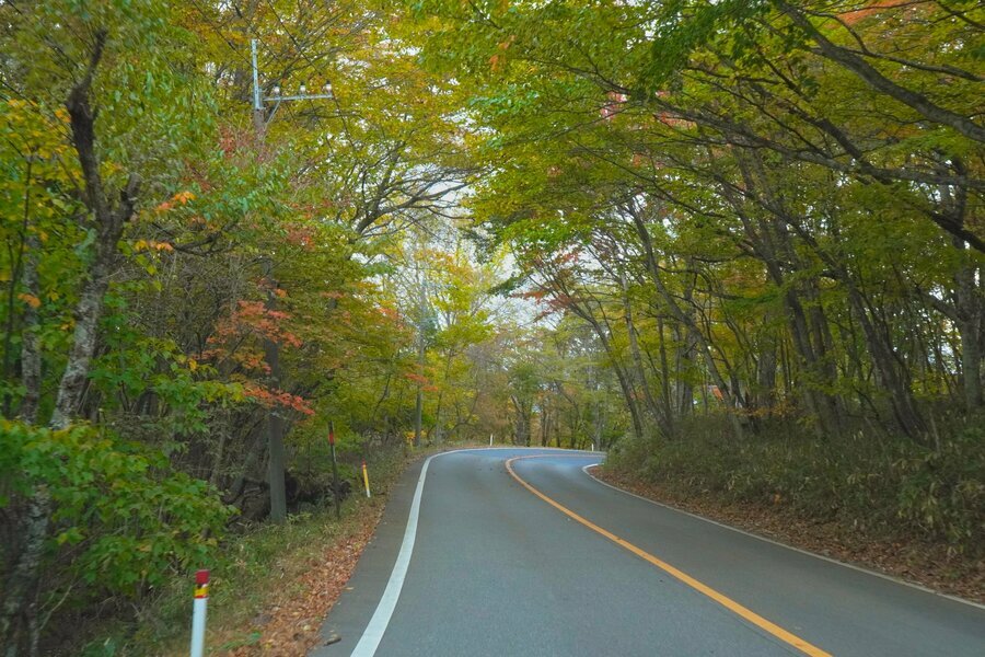 山の高さによって異なる紅葉の表情を楽しめる日塩もみじライン