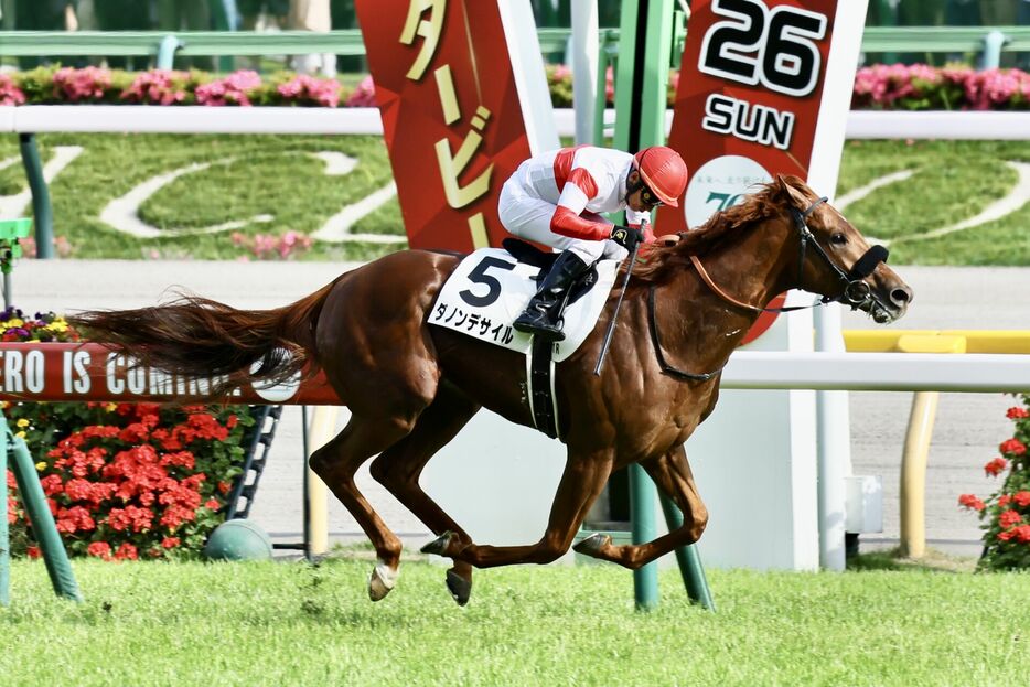 日本ダービー・ダノンデサイルと横山典弘騎手