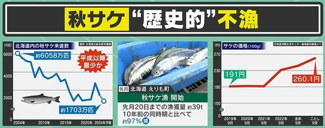 秋サケの漁獲量、10年前と比べて約97％減