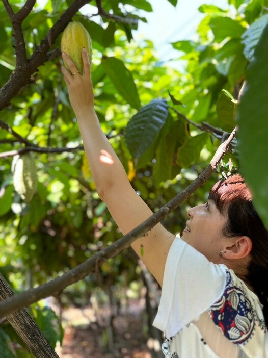 開発を担当した「WHOSE CACAO(フーズカカオ)」と、タイのカカオ生産地「ランパーン」との出会い