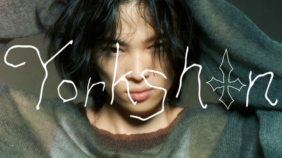 Yorkshin Campaign Image image by: yutori