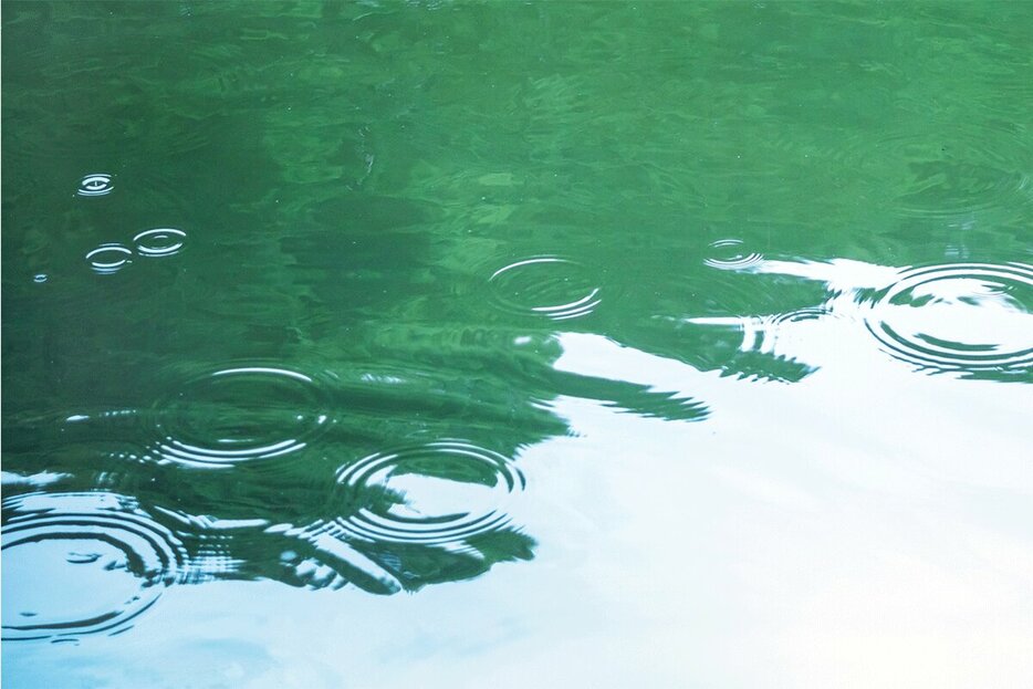 雨が降るたびに寒さが増す「霜降」の時期