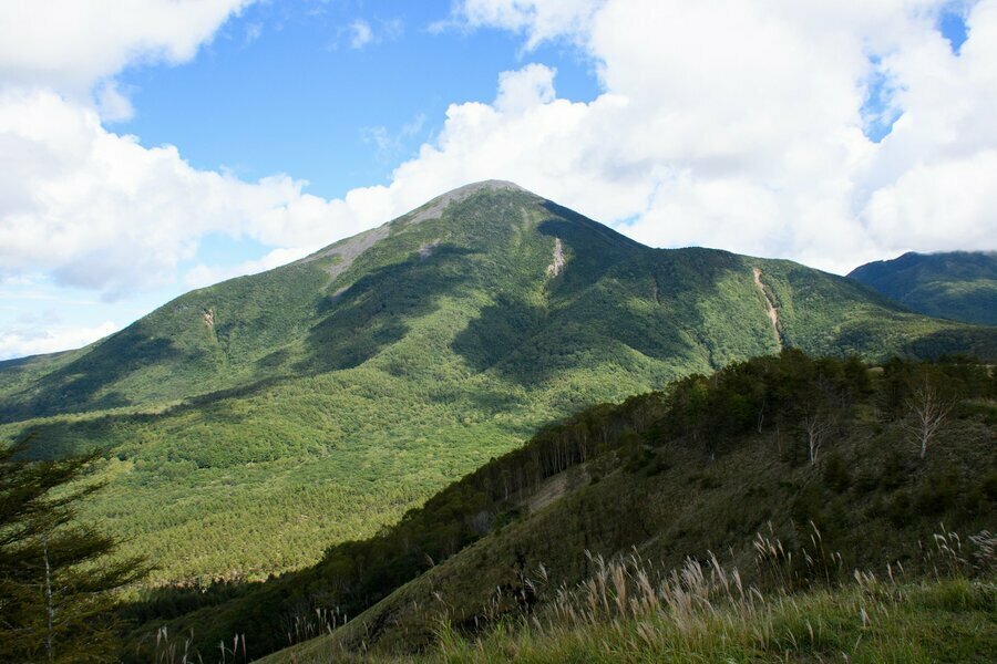 どっしりとした存在感ある蓼科山にも見とれてしまう