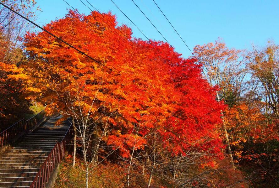 奥秩父の美しい紅葉