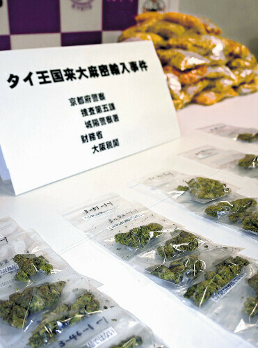 密輸された大麻草（京都府警本部で）