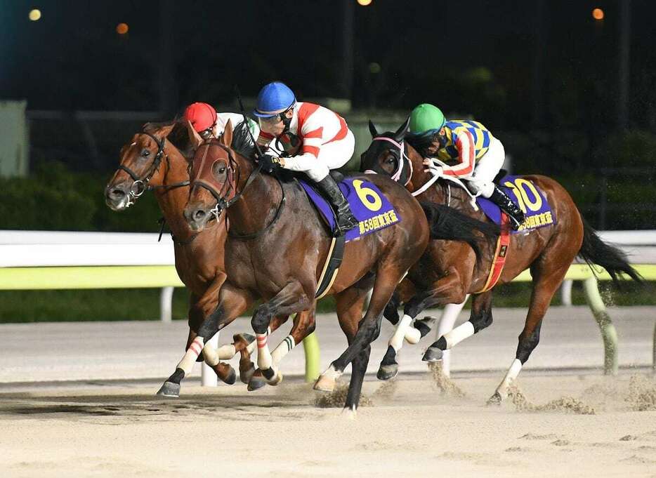 東京盃を制したチカッパ（撮影・菅原和彦）