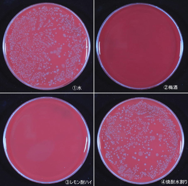 白い斑点は菌（本人提供）