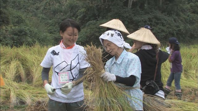 ボランティアによる農業体験