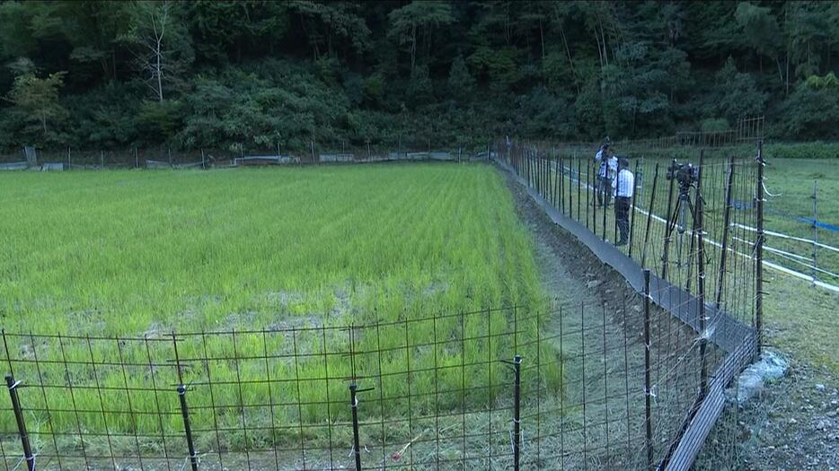 現場となった京都・福知山市の田んぼ