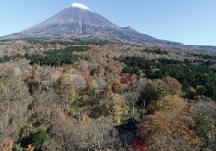 「まなびの森」から撮影した富士山