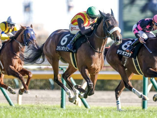 レースが行われる京都競馬場(c)netkeiba