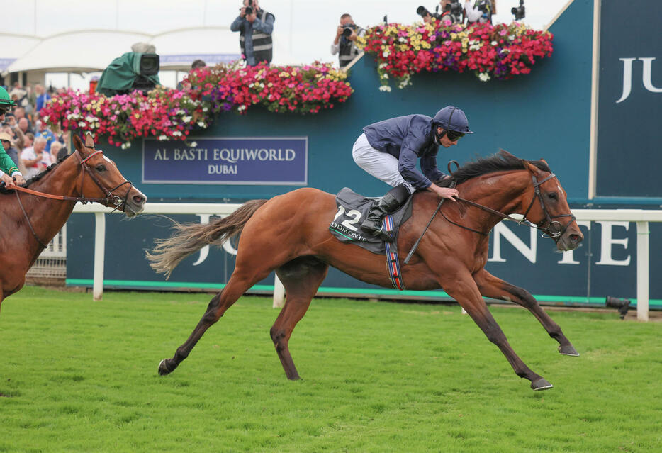 BCクラシック出走予定のシティオブトロイ　Eclipse Sportswire／Breeders' Cup Photos（C）