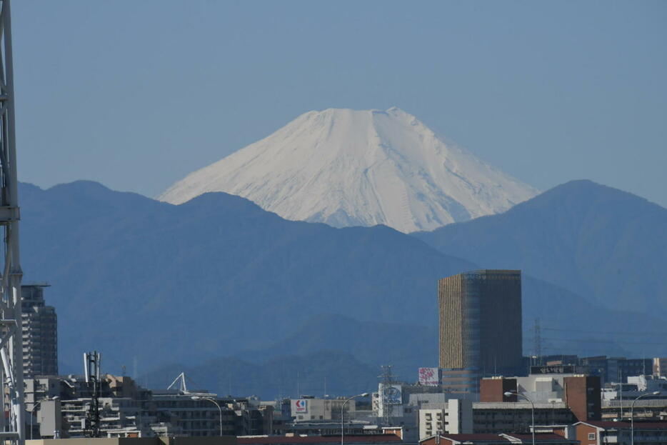 東京競馬場から見える富士山