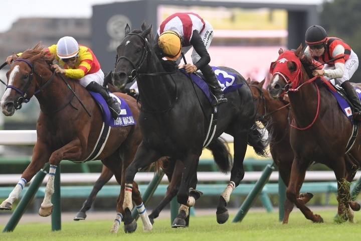 直線力強く抜け出したルガル（中央）が高松宮記念の雪辱を晴らす会心のGⅠ初Vを飾った。写真：産経新聞社