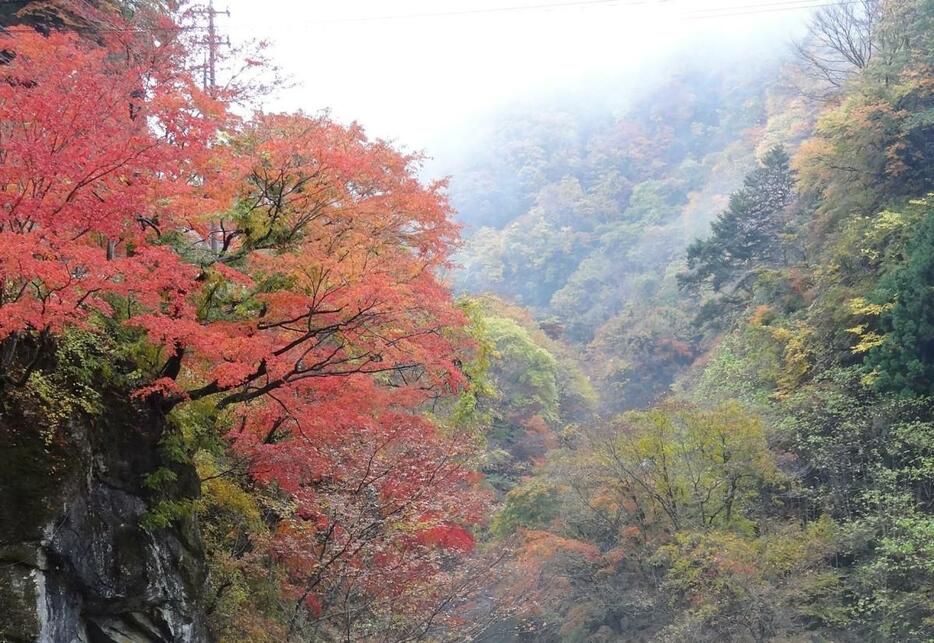 紅葉の名勝地、金蔵落としの渓流