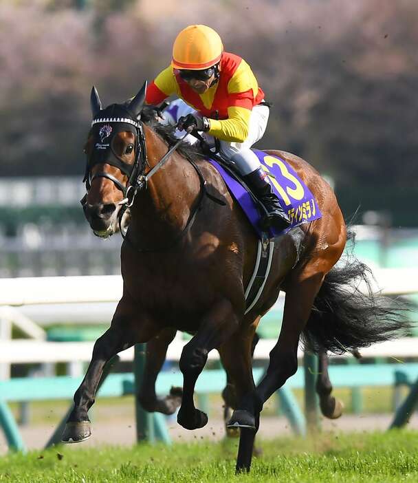 今年の皐月賞馬ジャスティンミラノ（撮影・岩川晋也）