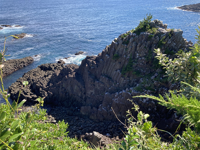 伊豆半島南東部の爪木崎にある「俵磯」とよばれる「柱状節理」(画像提供:JAMSTEC)