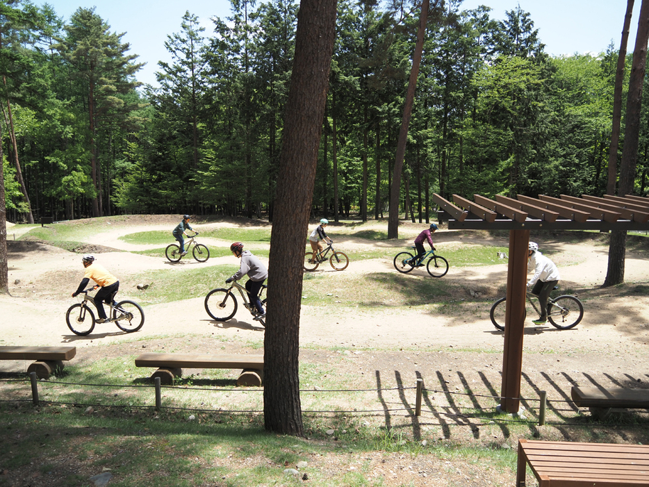 写真：Bicycle Club