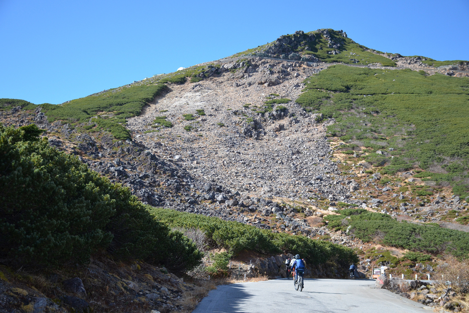 写真：Bicycle Club