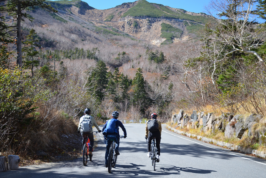 写真：Bicycle Club