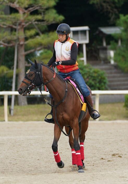 カワキタマナレア＝栗東トレセン（撮影・岩川晋也）