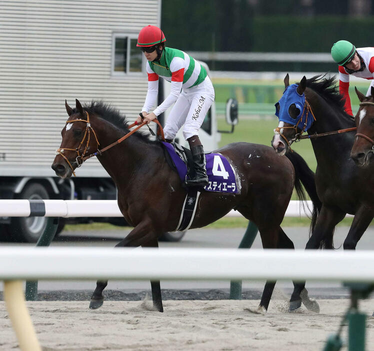 天皇賞・秋で2着になったタスティエーラと松山騎手（撮影・丹羽敏通）